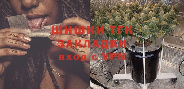 твердый Аркадак