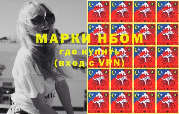 твердый Аркадак